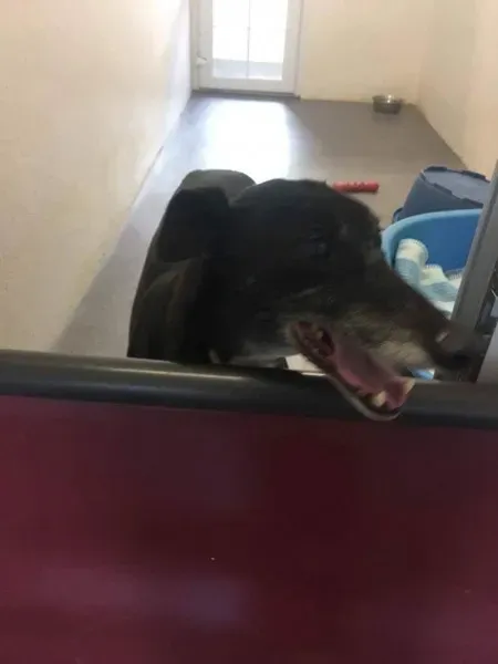 received 1511971912227740