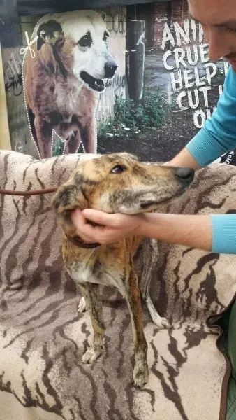 received 1517110575047207