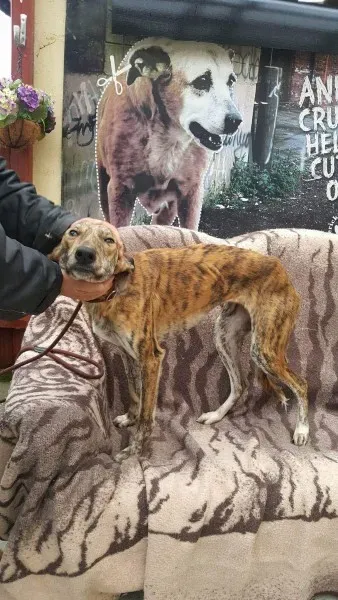 received 1517110585047206