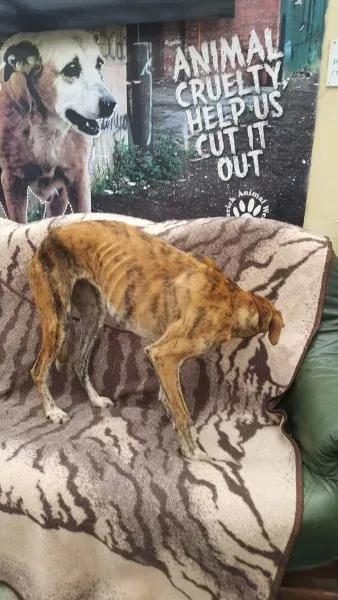 received 1517110588380539