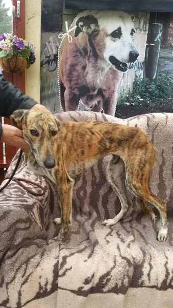 received 1517110591713872