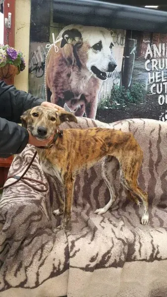 received 1517110595047205