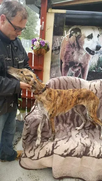 received 1517110598380538