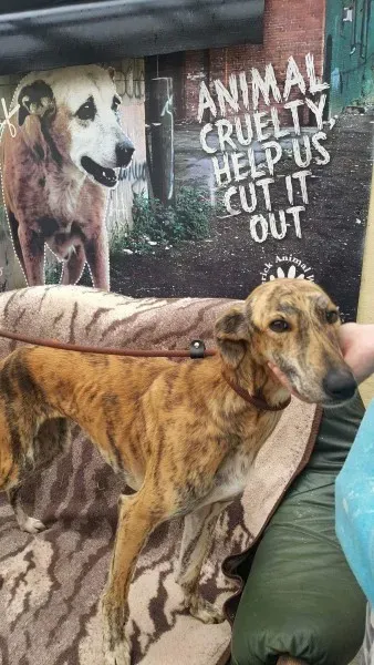 received 1517110601713871