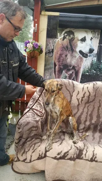 received 1517110605047204