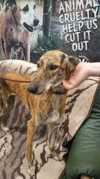 received 1517110608380537