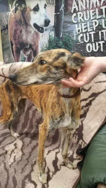 received 1517110611713870