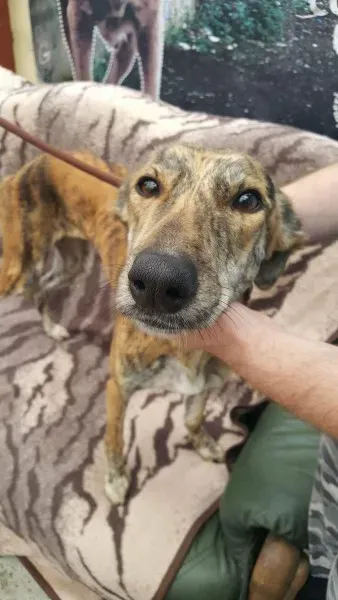 received 1517110615047203