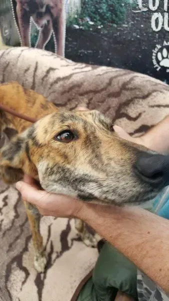 received 1517110618380536