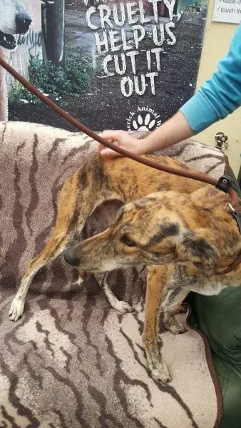 received 1517110621713869