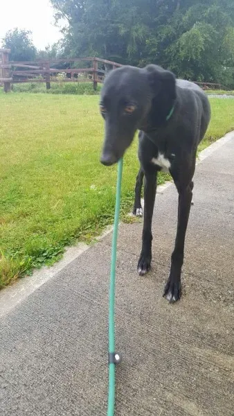 received 1517210798370518