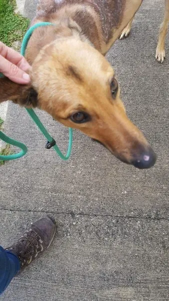 received 1517211435037121