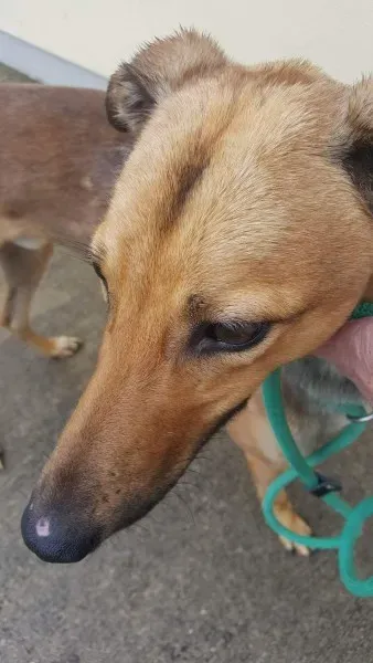 received 1517211438370454