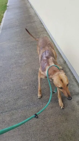 received 1517211441703787