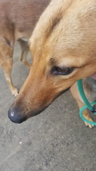 received 1517211445037120