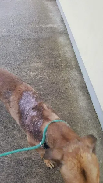 received 1517211448370453