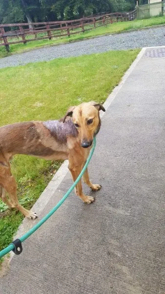 received 1517211451703786