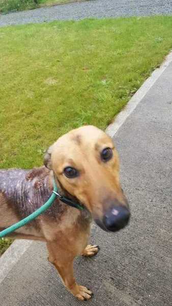 received 1517211455037119