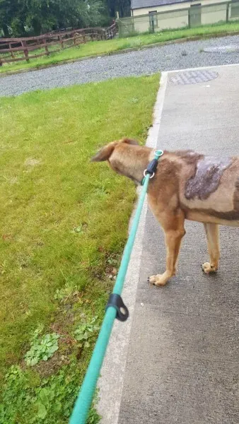 received 1517211458370452