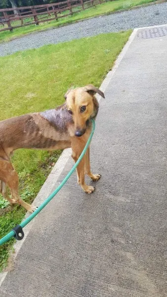 received 1517211461703785