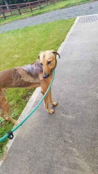 received 1517211465037118