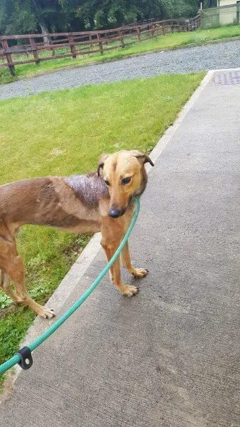 received 1517211468370451