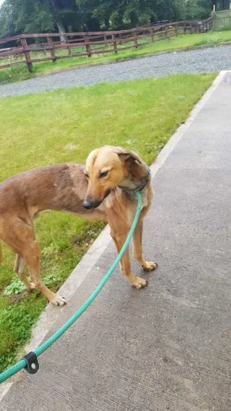 received 1517211471703784