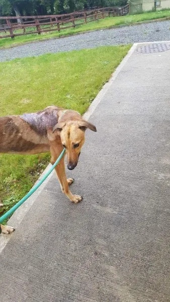 received 1517211475037117