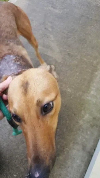 received 1517211478370450