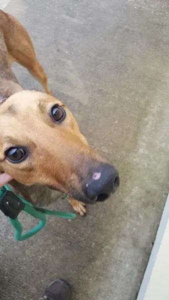 received 1517211481703783