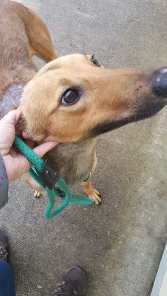 received 1517211485037116