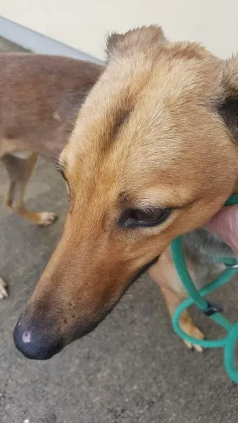 received 1517211488370449