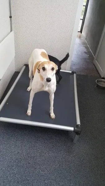 received 1517293758362222