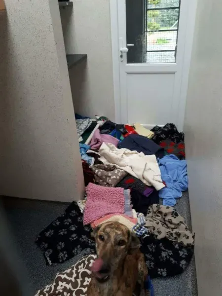 received 1517863324971932