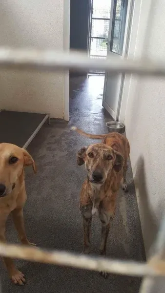 received 1521678927923705