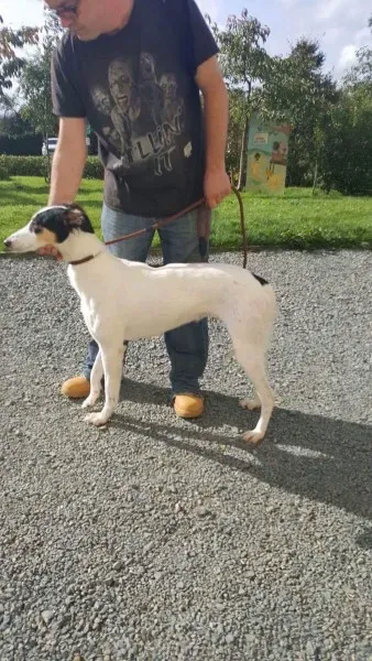 received 1521754904582774