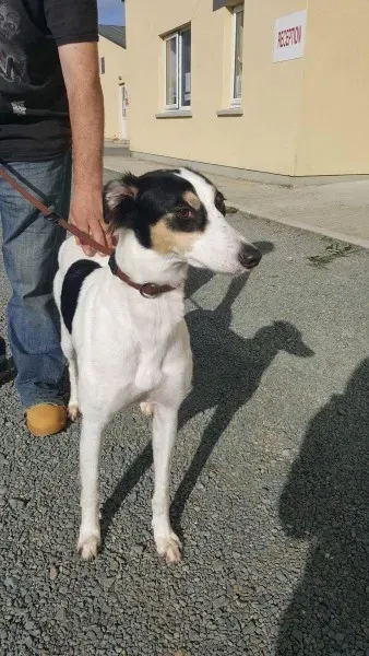 received 1521754907916107