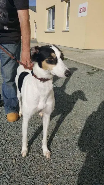 received 1521754921249439