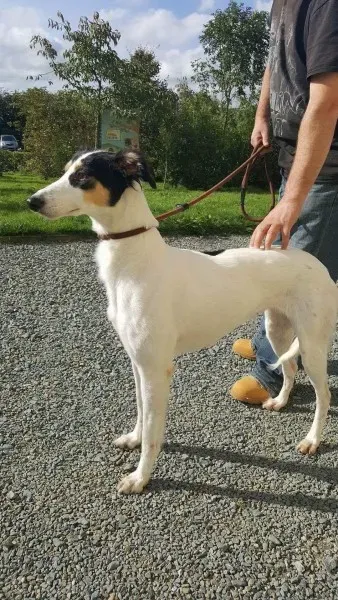 received 1521754931249438