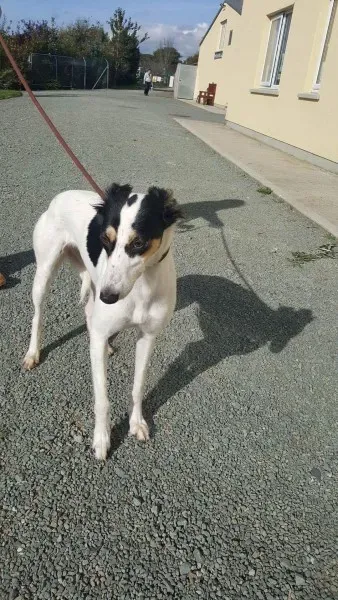 received 1521754974582767