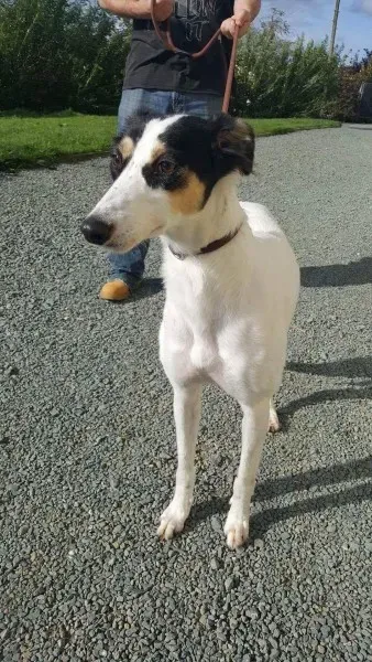 received 1521754984582766