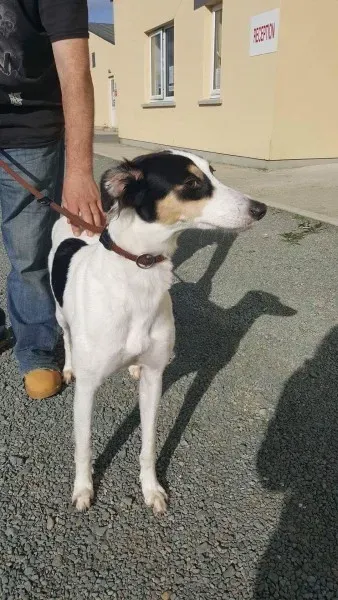 received 1521754987916099