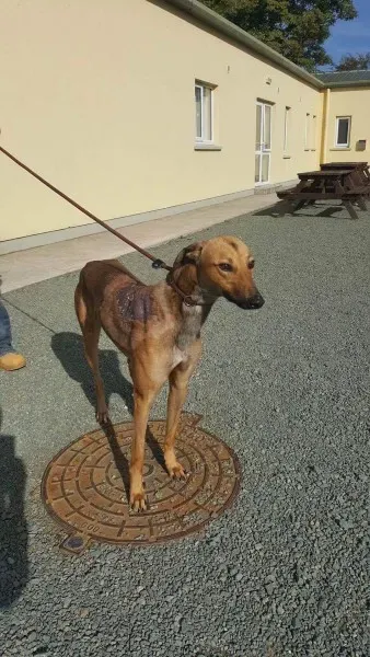 received 1521764061248525