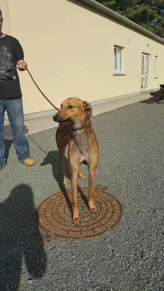 received 1521764087915189