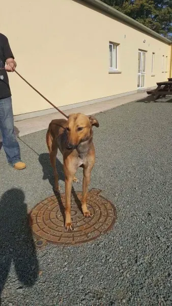 received 1521764157915182