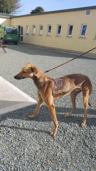 received 1521764174581847