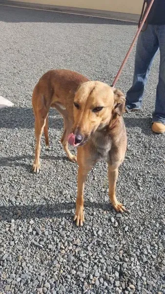 received 1521765147915083