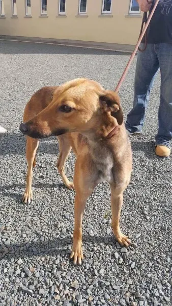 received 1521765177915080