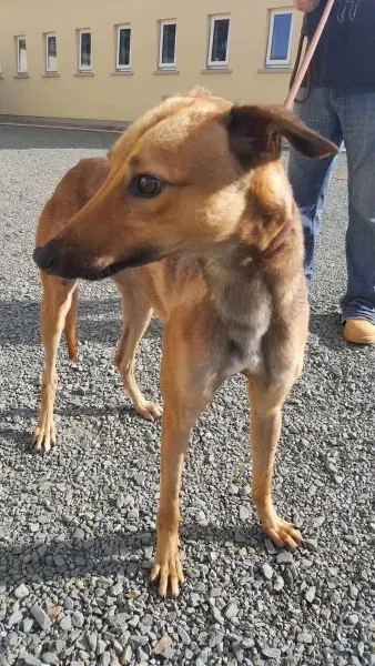 received 1521765287915069