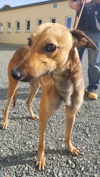 received 1521765317915066